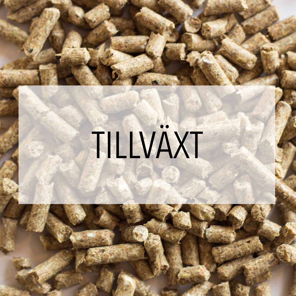 Tillväxt